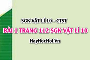 Giải bài 1 trang 112 SGK Vật lí 10 Chân trời sáng tạo